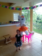 Pinata for a family party for my 4 year old